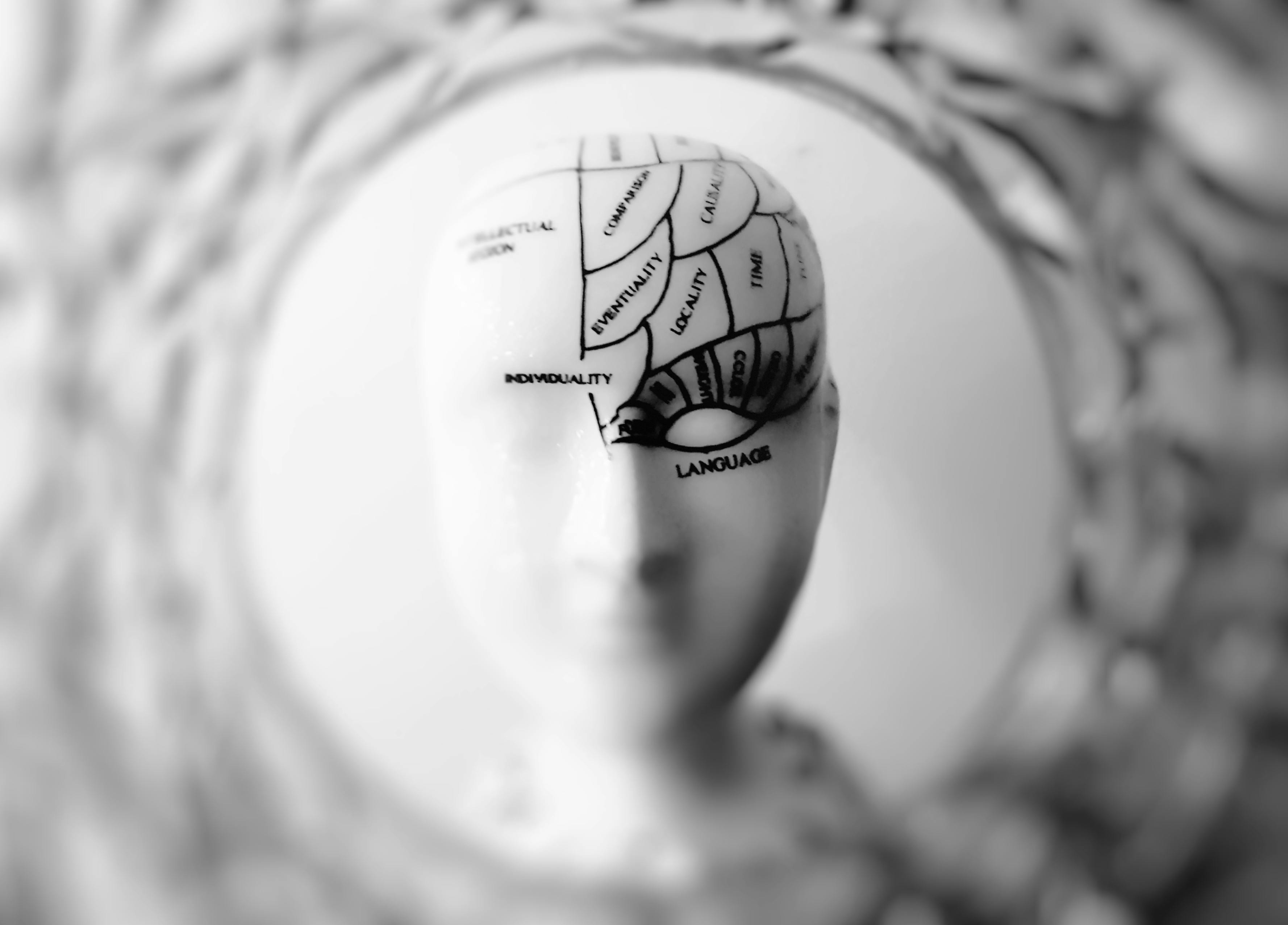 Brain configuration
